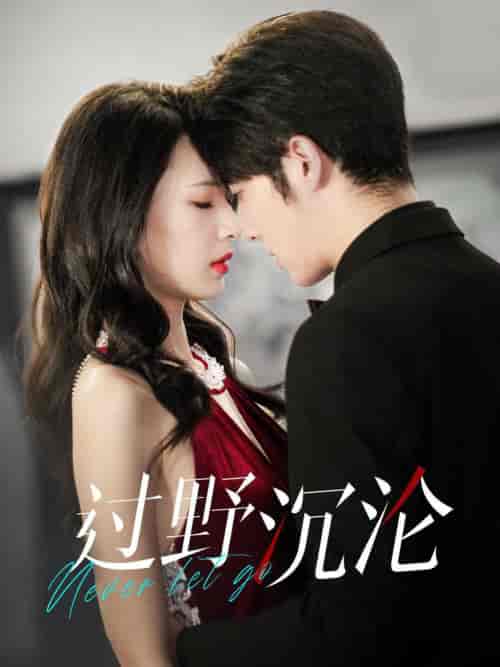 过野沉沦（100集全）王子林-紫橙资源网