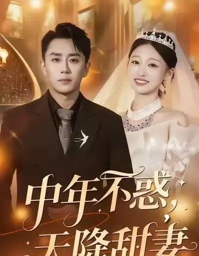 中年不惑，天降甜妻（60集全）卓颐＆阎纪圻-紫橙资源网