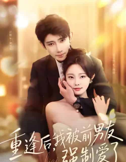 重逢后,我被前男友强制爱了(80集全)江野&林非梵-紫橙资源网