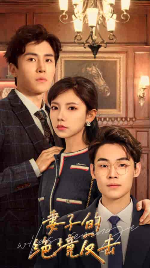 妻子的绝境反击（81集）-紫橙资源网