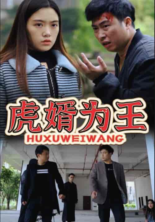 虎婿为王（90集全）杨云飞＆曾对对-紫橙资源网