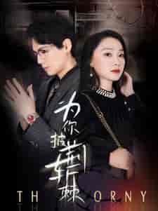 为你披荆斩棘（90集）-紫橙资源网