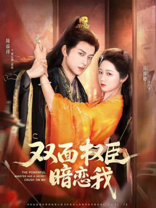 双面权臣暗恋我(91集全)陈添祥&岳雨婷-紫橙资源网