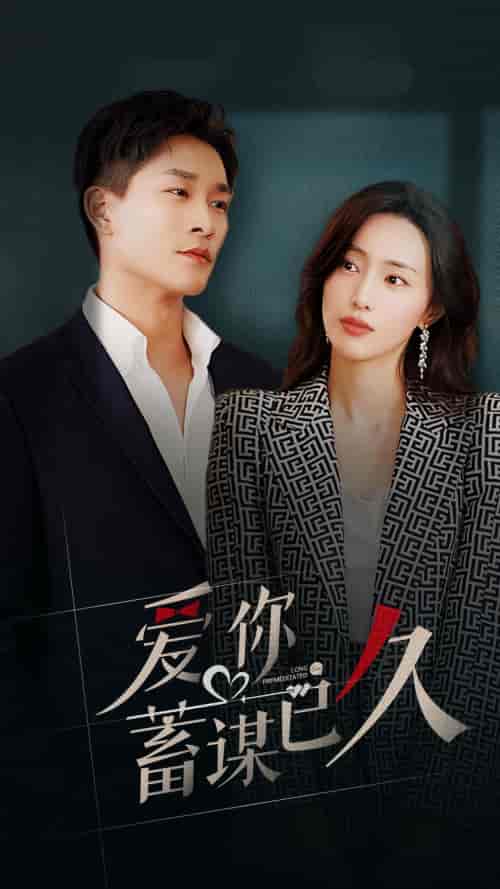 爱你蓄谋已久(105集)-紫橙资源网