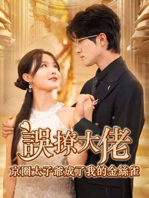 誤撩大佬，京圈太子爺成了我的金絲雀（97集全）薄靳修＆姜辭憂-紫橙资源网