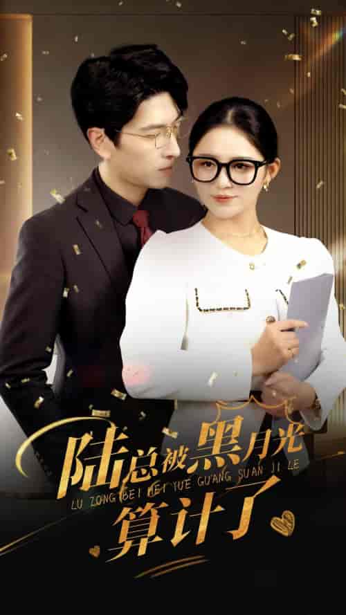 陆总被黑月光算计了（93集）-紫橙资源网