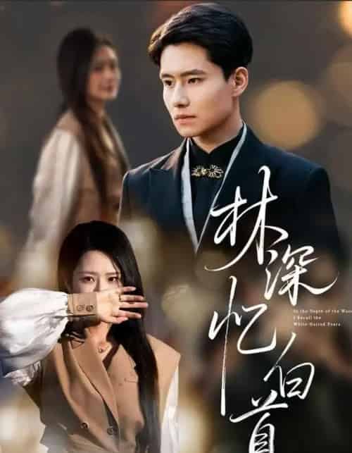 林深忆白首（60集全）张佳艺＆翟兆星-紫橙资源网