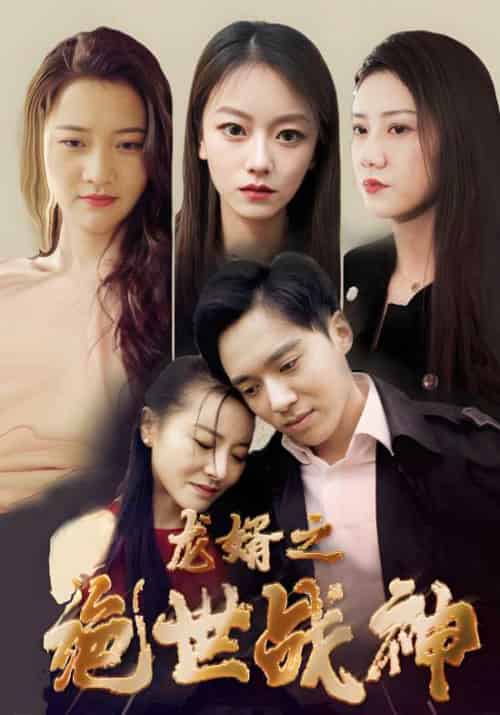 龙婿之绝世战神(100集全)叶辰&贺佳怡-紫橙资源网