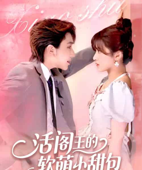 活阁王的软萌小甜包（117集）景文＆何可人-紫橙资源网