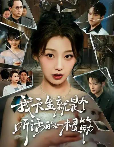 我天生就是个听话的一根筋（75集全）王倩＆孟令今-紫橙资源网