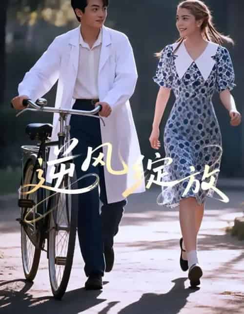 逆风绽放（55集全）迪娜DeNa＆周煜枫＆瓦日斯-紫橙资源网