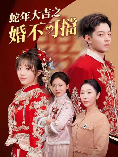 蛇年大吉之婚不可擋（50集全）陳寒＆劉茜-紫橙资源网