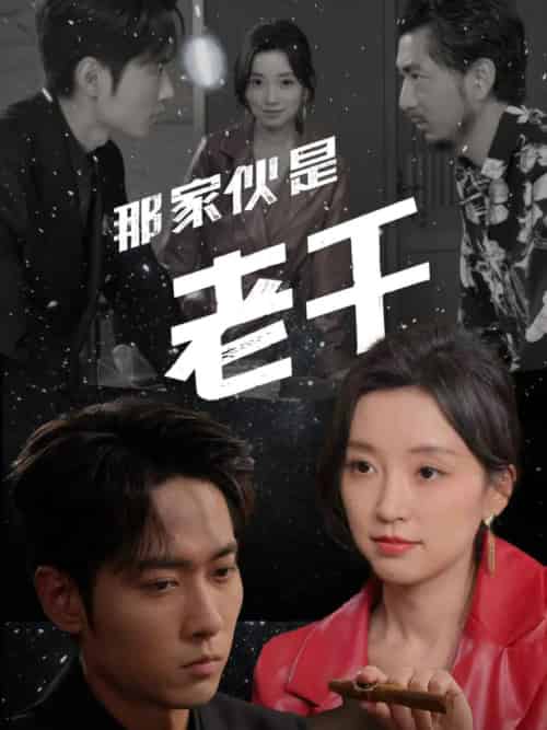 那家伙是老千（75集全）霍俊全＆唐之斐-紫橙资源网