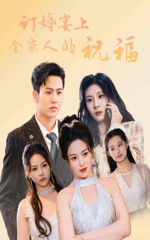 订婚宴上全家人的祝福（48集全）-紫橙资源网