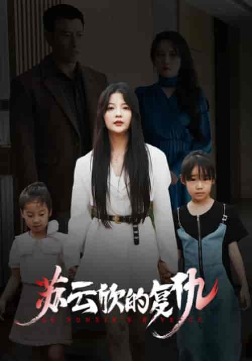 苏云欣的复仇（45集全）何文徳＆苏云欣-紫橙资源网