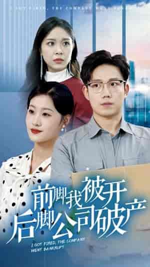 前脚我被开后脚公司破产（35集）-紫橙资源网