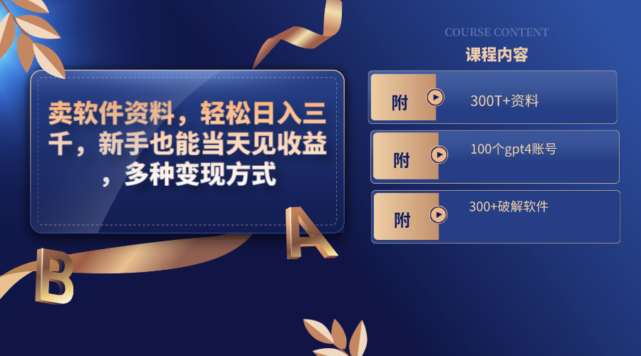 卖软件资料,轻松日入三千,新手也能当天见收益,多种变现方式,(附300...-紫橙资源网