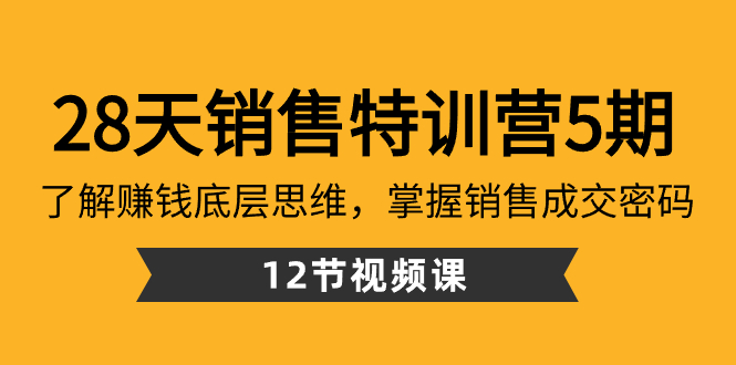 28天·销售特训营5期:了解赚钱底层思维,掌握销售成交密码(12节课)-紫橙资源网