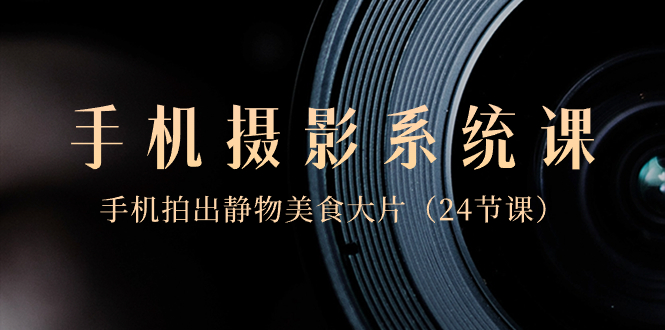 0基础-手机摄影系统课,手机拍出静物美食大片(24节课)-紫橙资源网