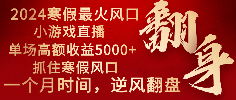 2024年最火寒假风口项目 小游戏直播 单场收益5000+抓住风口 一个月直接提车-紫橙资源网