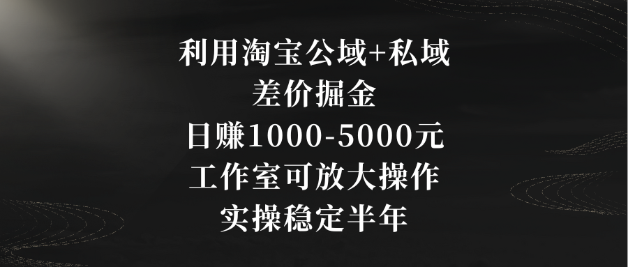 利用淘宝公域+私域差价掘金，日赚1000-5000元，工作室可放大操作，实操...-紫橙资源网