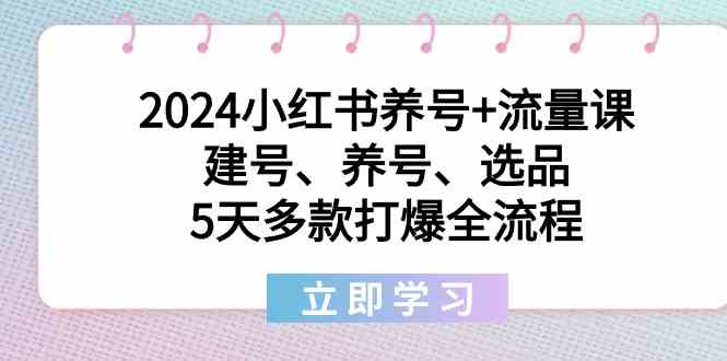 2024小红书养号+流量课：建号、养号、选品，5天多款打爆全流程-紫橙资源网