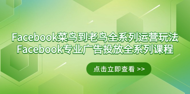 Facebook-菜鸟到老鸟全系列运营玩法+Facebook-专业广告投放全系列课程-紫橙资源网