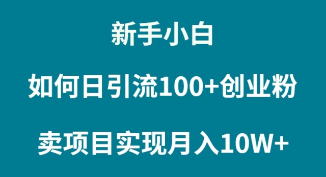 新手小白如何通过卖项目实现月入10W+-紫橙资源网
