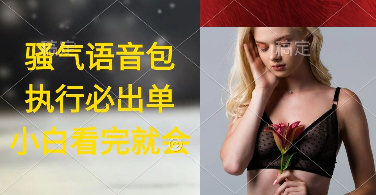 执行就出单，日入2000+，超火骚气语音包，小白看完课程就能马上实操-紫橙资源网