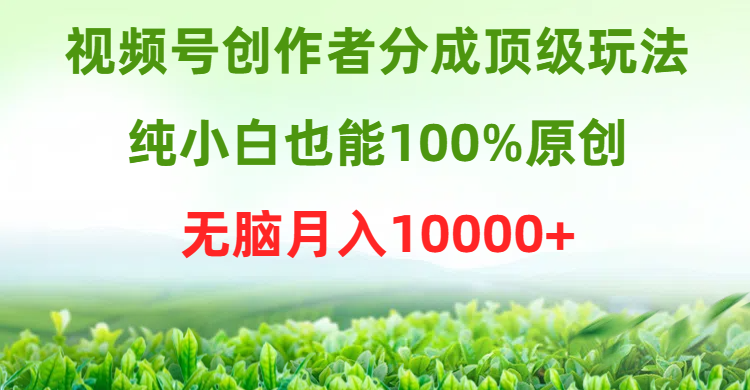视频号创作者分成顶级玩法，纯小白也能100%原创，无脑月入10000+-紫橙资源网