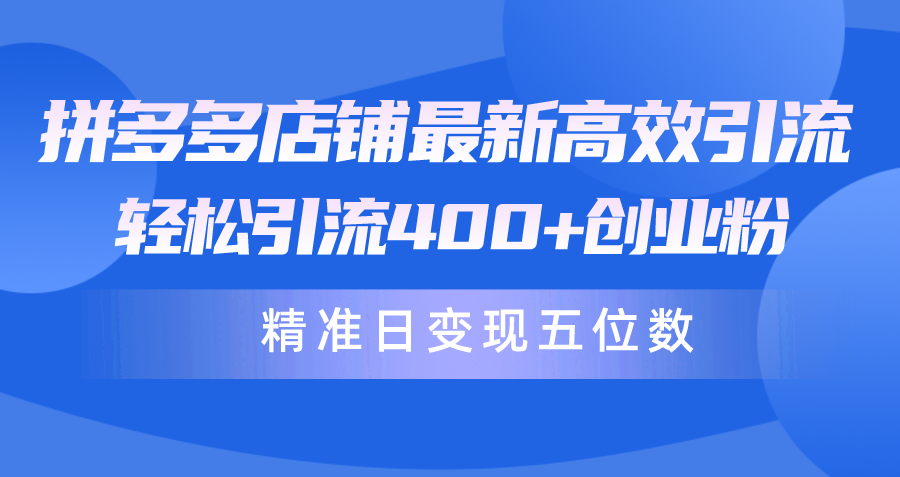 拼多多店铺最新高效引流术，轻松引流400+创业粉，精准日变现五位数！-紫橙资源网
