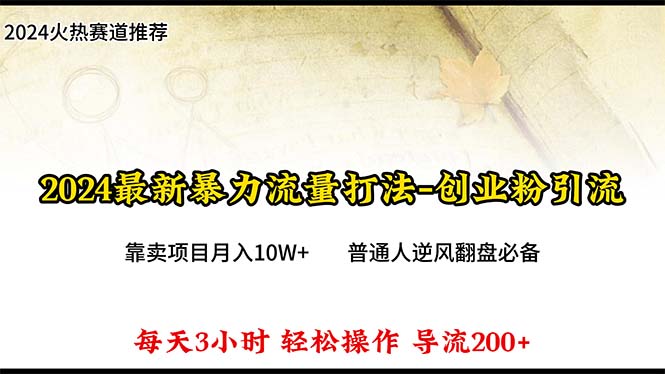 2024年最新暴力流量打法，每日导入300+，靠卖项目月入10W+-紫橙资源网