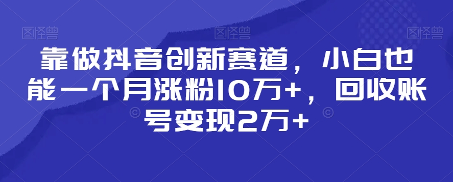 靠做抖音创新赛道，小白也能一个月涨粉10万+，回收账号变现2万+-紫橙资源网