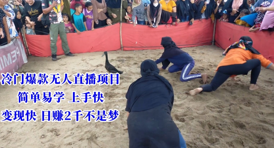 冷门爆款无人直播项目，简单易学上手快，变现快日赚2千不是梦-紫橙资源网