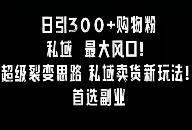 日引300+购物粉，超级裂变思路，私域卖货新玩法，小红书首选副业-紫橙资源网