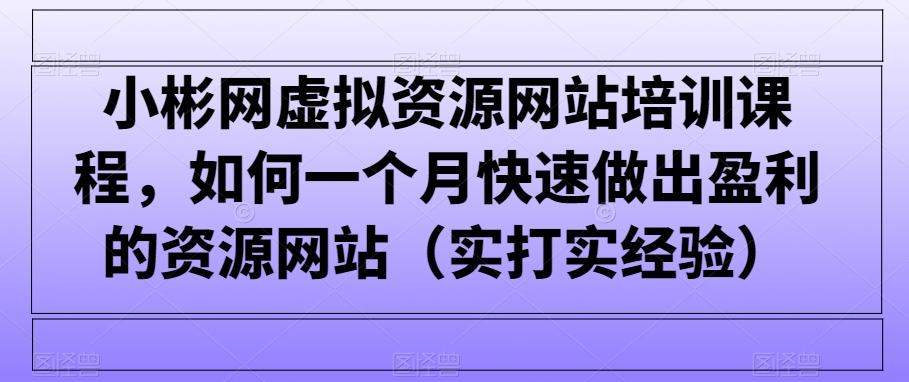 小彬网虚拟资源网站培训课程，如何一个月快速做出盈利的资源网站（实打实经验）-紫橙资源网