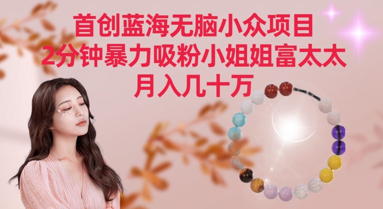 首创蓝海无脑小众项目，2分钟暴力吸粉小姐姐富太太，月入几十万-紫橙资源网