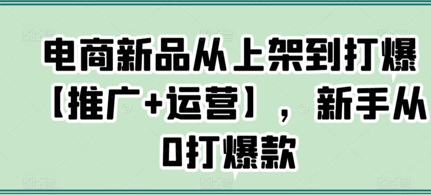 电商新品从上架到打爆【推广+运营】，新手从0打爆款-紫橙资源网