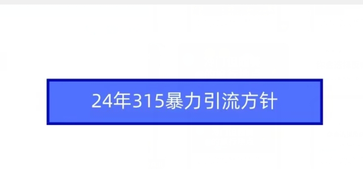 24年315暴力引流方针-紫橙资源网