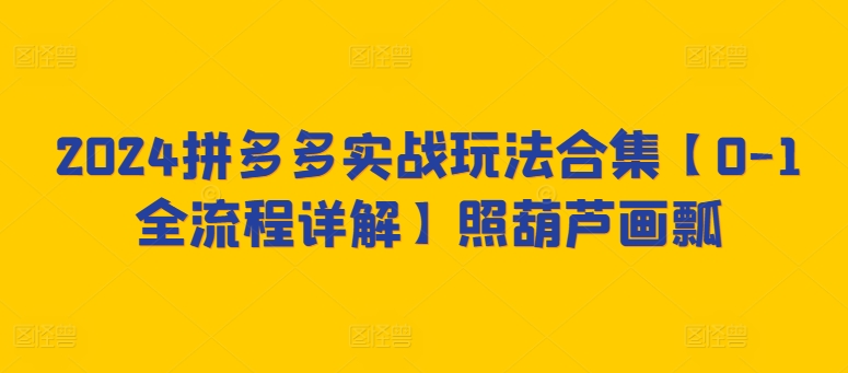 2024拼多多实战玩法合集【0-1全流程详解】照葫芦画瓢-紫橙资源网