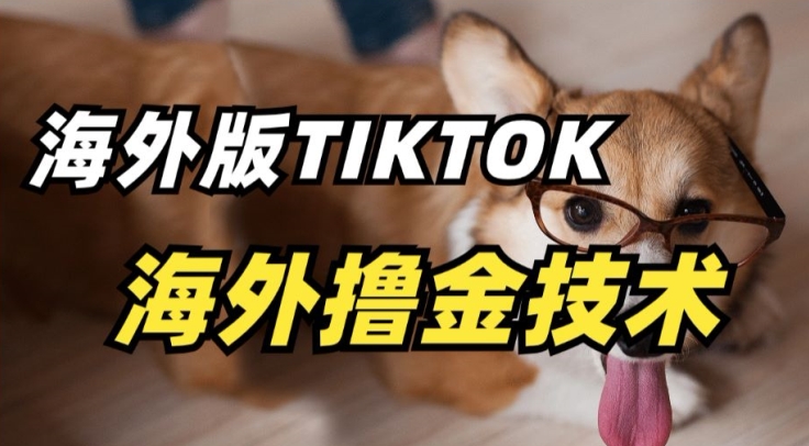 抖音海外版tiktok撸金技术，这个风口行业，赚钱真的不难-紫橙资源网