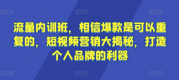 流量内训班，相信爆款是可以重复的，短视频营销大揭秘，打造个人品牌的利器-紫橙资源网