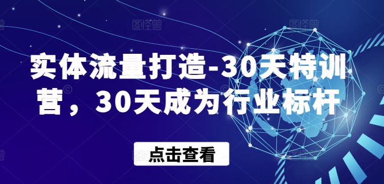 实体流量打造-30天特训营，30天成为行业标杆-紫橙资源网