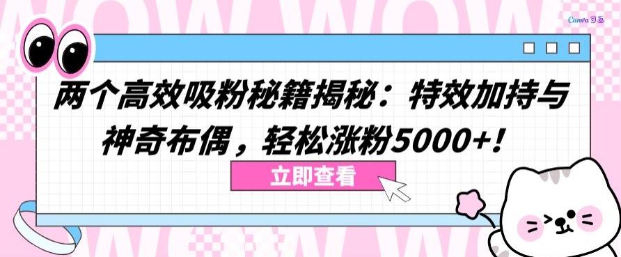 两个高效吸粉秘籍揭秘：特效加持与神奇布偶，轻松涨粉5000+-紫橙资源网