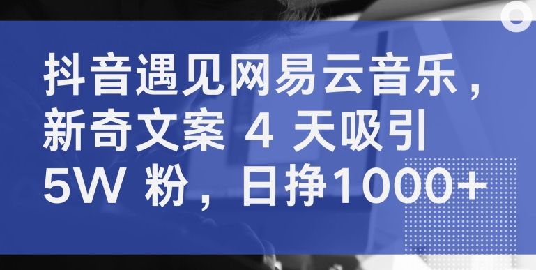 抖音遇见网易云音乐，新奇文案 4 天吸引 5W 粉，日挣1000+-紫橙资源网