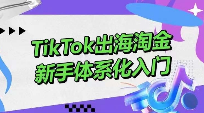 TikTok出海淘金，新手体系化入门，零基础快速入门，掌握短视频、直播带货等引流到变现的知识-紫橙资源网