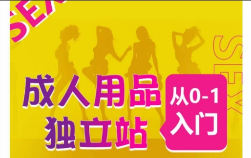 成人用品独立站从0-1入门，成品独立站运营全流程教学，七大好卖成品独立站推荐-紫橙资源网