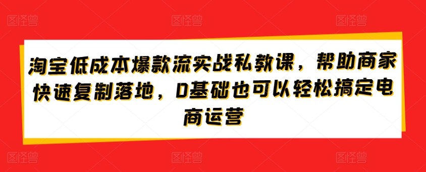 淘宝低成本爆款流实战私教课,帮助商家快速复制落地,0基础也可以轻松搞定电商运营-紫橙资源网