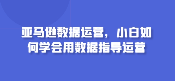 亚马逊数据运营，小白如何学会用数据指导运营-紫橙资源网