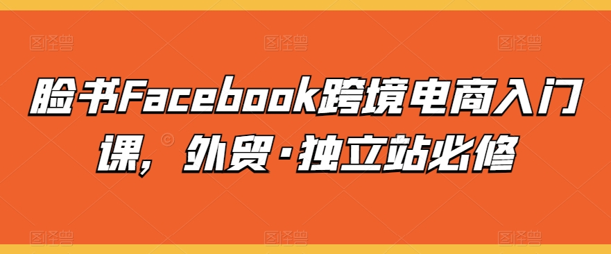 脸书Facebook跨境电商入门课，外贸·独立站必修-紫橙资源网
